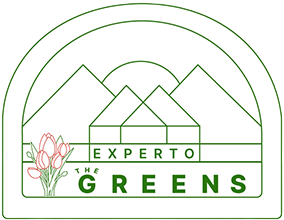 Experto The Green - Logo